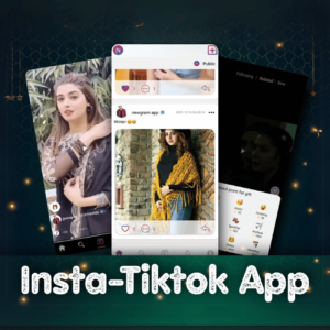 Insta Tiktok App