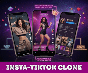 Insta Tiktok App Development