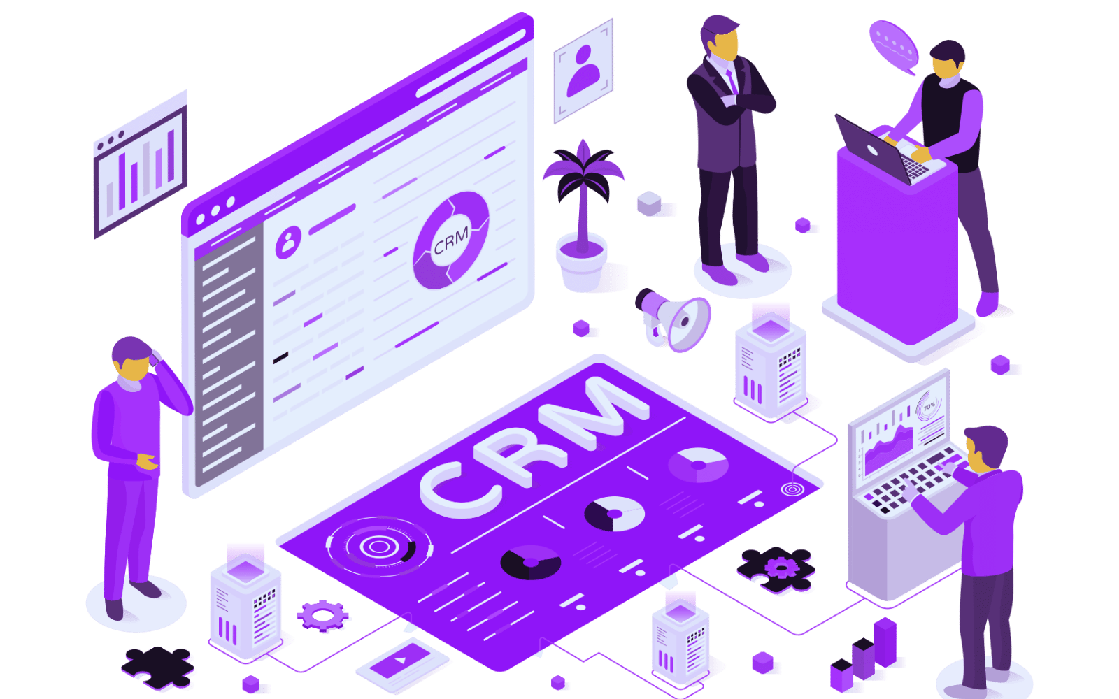 CRM Development Company